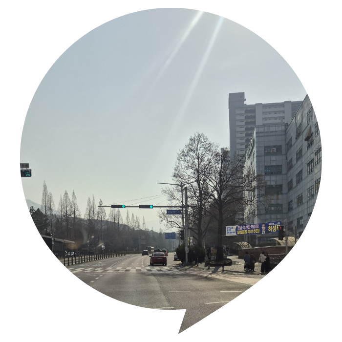 안양 운전연수 후기 · 실제 출퇴근 코스로 연습